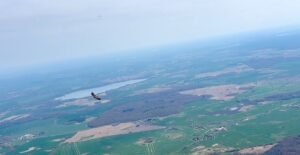 Flug mit dem Seeadler