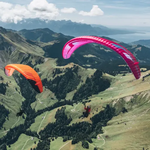 Niviuk Hook 7 P - jetzt vorbestellen